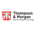 Thompson and Morgan Promo code